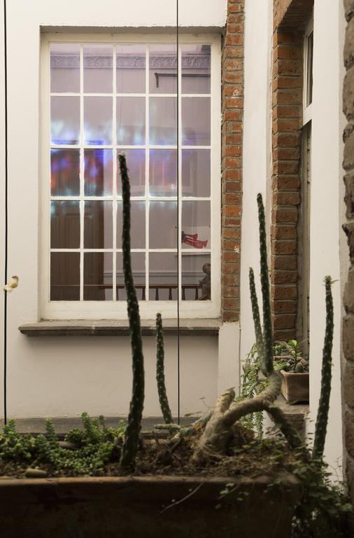 El Patio 77 B&B Mexico City Exterior photo