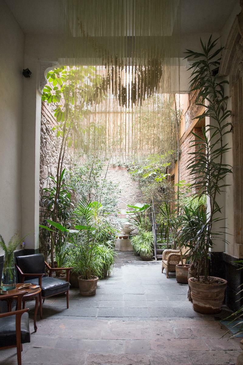 El Patio 77 B&B Mexico City Exterior photo